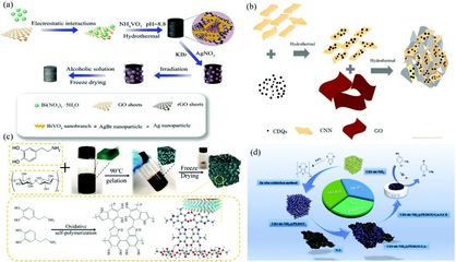 二維材料基氣凝膠的合成、功能調(diào)控及其在環(huán)境檢測和修復(fù)領(lǐng)域的應(yīng)用-納孚生物