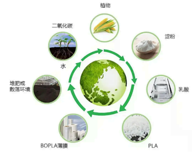 2025年,全球生物基聚合物產(chǎn)量預(yù)計(jì)達(dá)到近7百萬噸