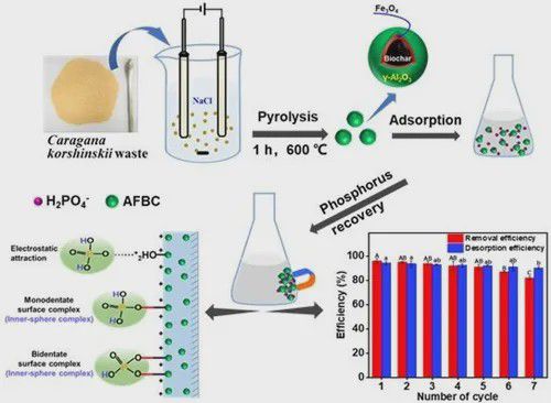 生態(tài)環(huán)境治理新型材料研發(fā)取得系列進展 生物基材料銷售迎突破